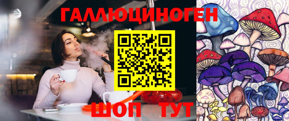 Псилоцибиновые грибы GOLDEN TEACHER Кемерово