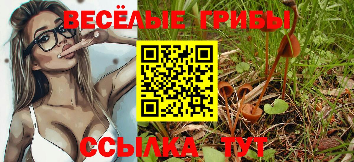Галлюциногенные грибы Psilocybine cubensis  Вход с VPN  Кемерово 